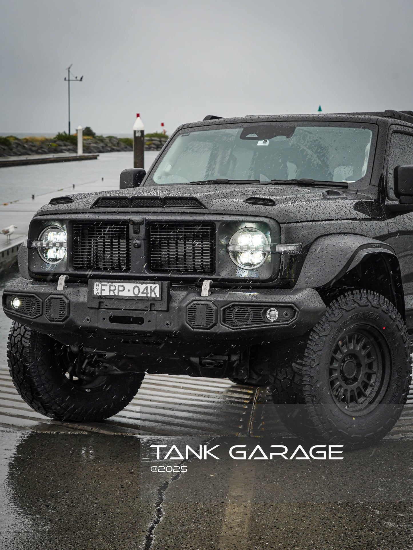 Tank 300 Topfire Iron Cavalry Body Kit GWM Genuine Parts