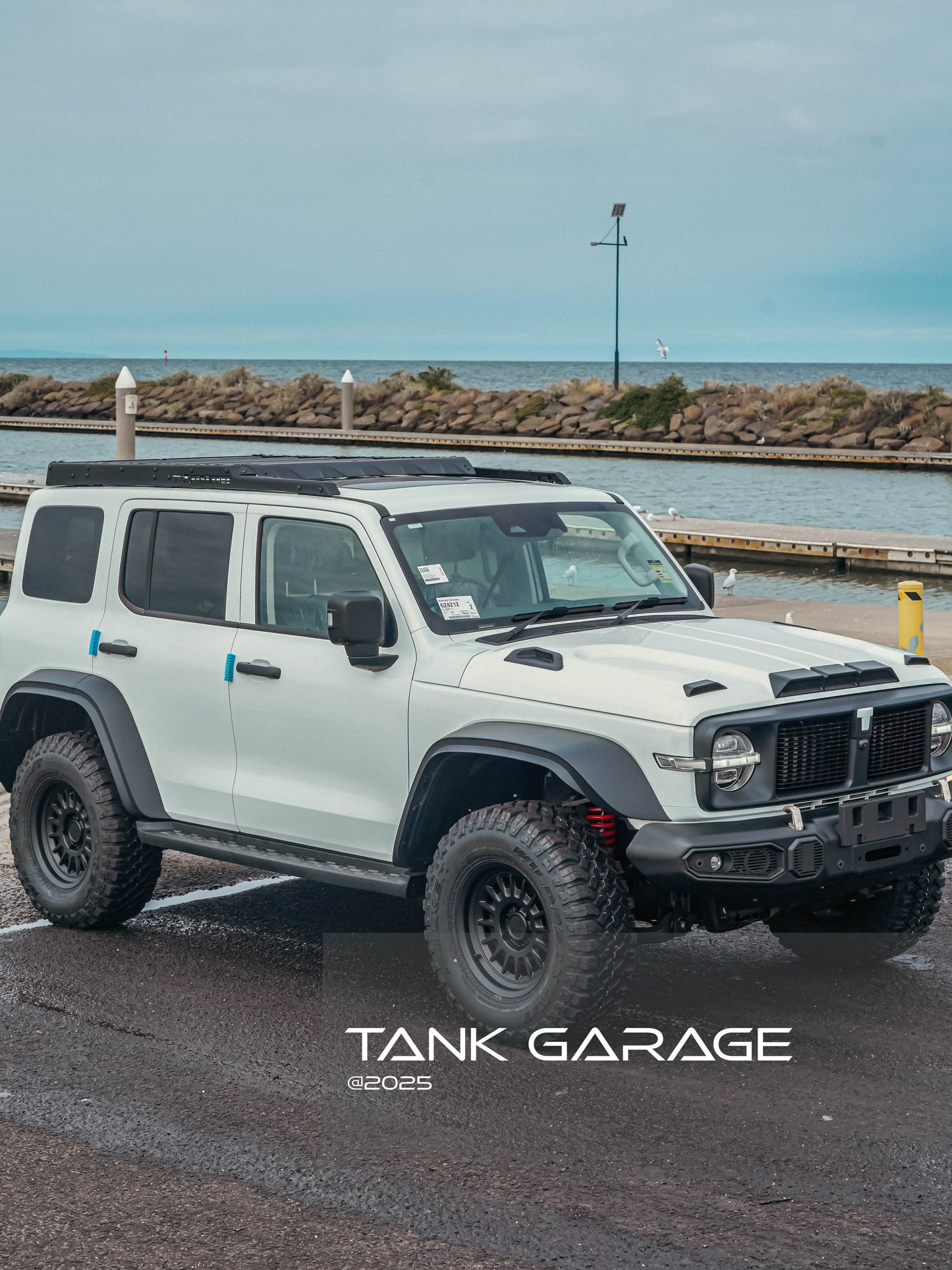 Tank 300 Topfire Iron Cavalry Body Kit GWM Genuine Parts